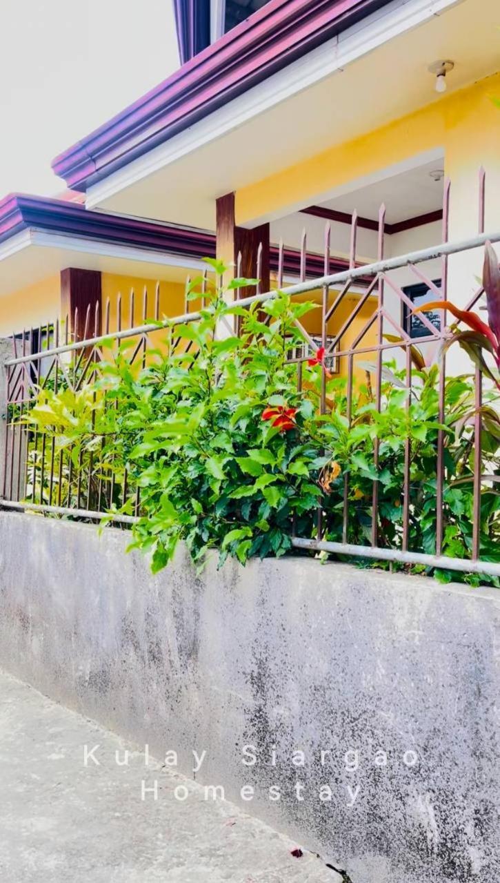 Ameeza Houze Homestay - Siargao General Luna  Exteriör bild